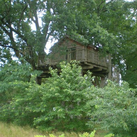 Cabane Perchee Solferino Bagian luar foto
