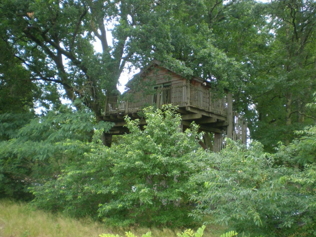 Cabane Perchee Solferino Bagian luar foto